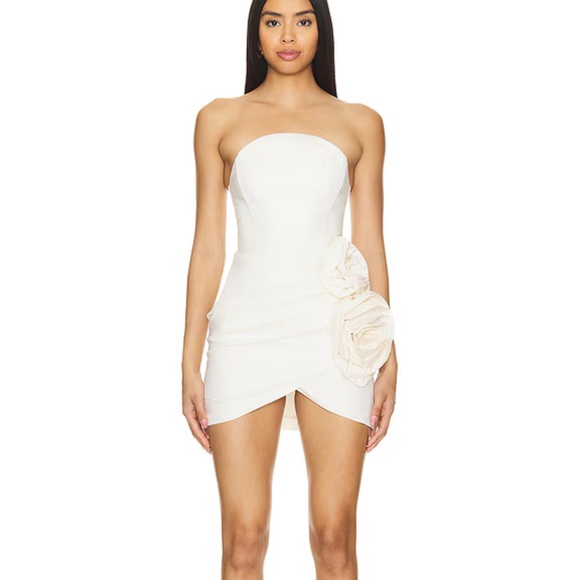 Alyna Mini Dress Floral Detail - Picture 1 of 5